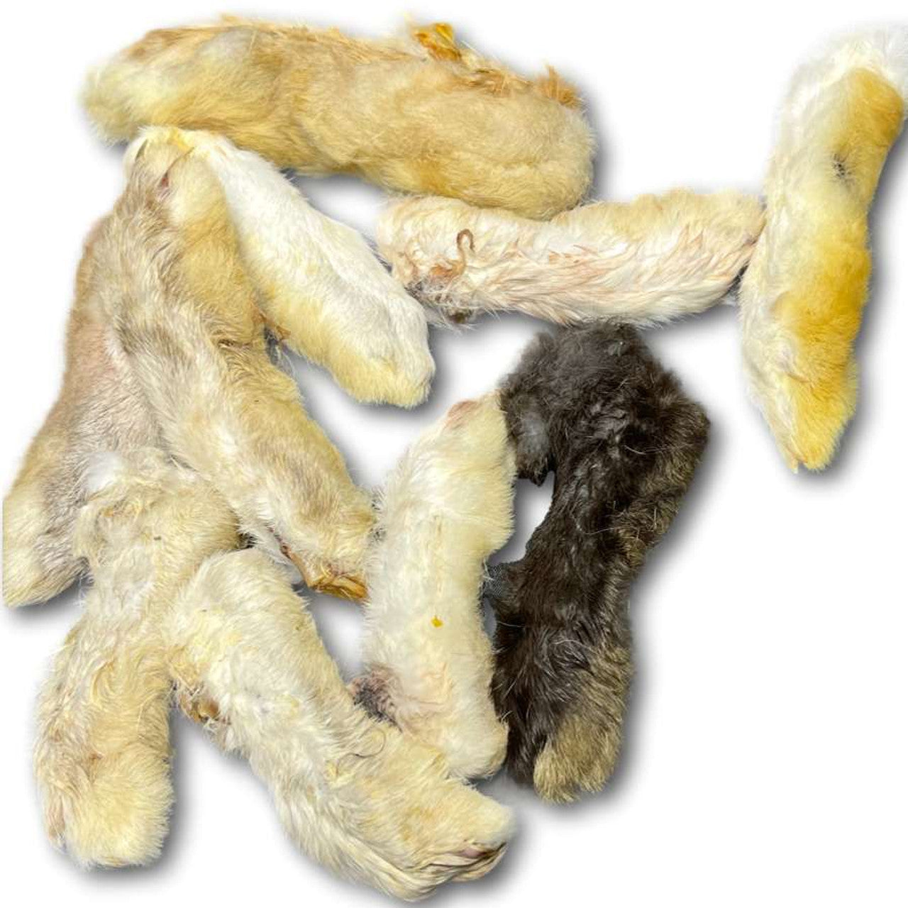 Fur covered Rabbit Feet x6